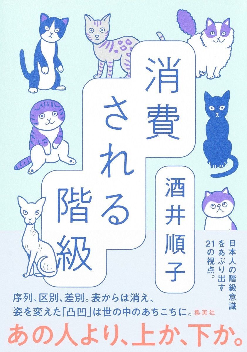 消費される階級 書影